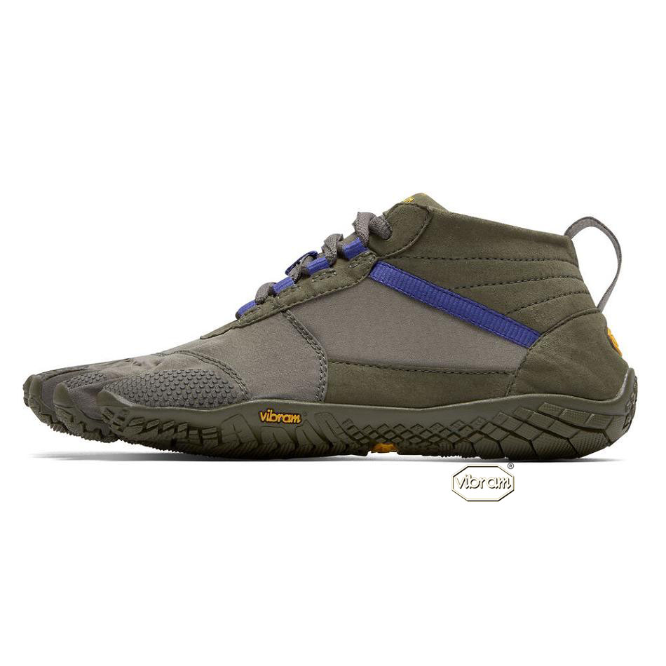 Women's Vibram V-Trek Casual Shoes Purple | CA_X37