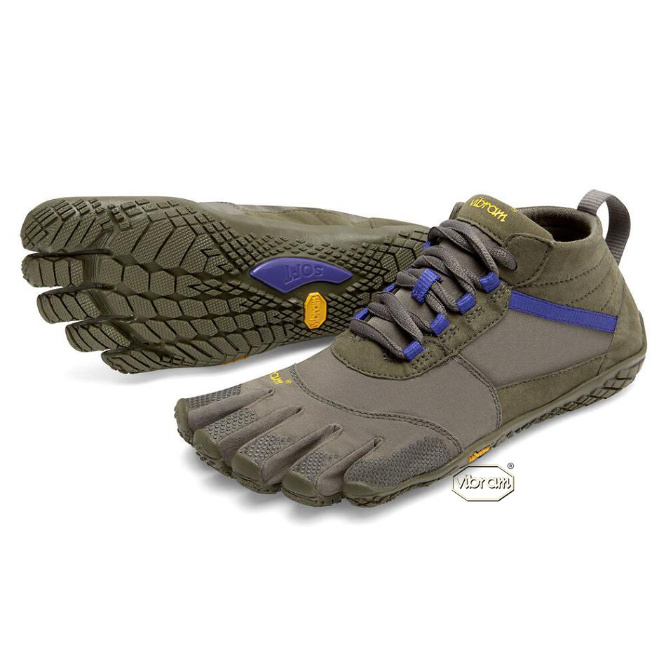 Women\'s Vibram V-Trek Casual Shoes Purple | CA_X37